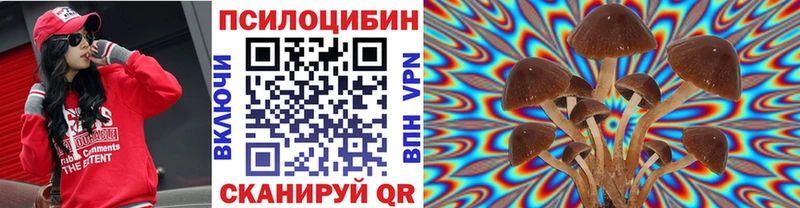 Псилоцибиновые грибы MAGIC MUSHROOMS  Купить закладки  Красавино 